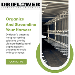 Cannabis Drying Equipment